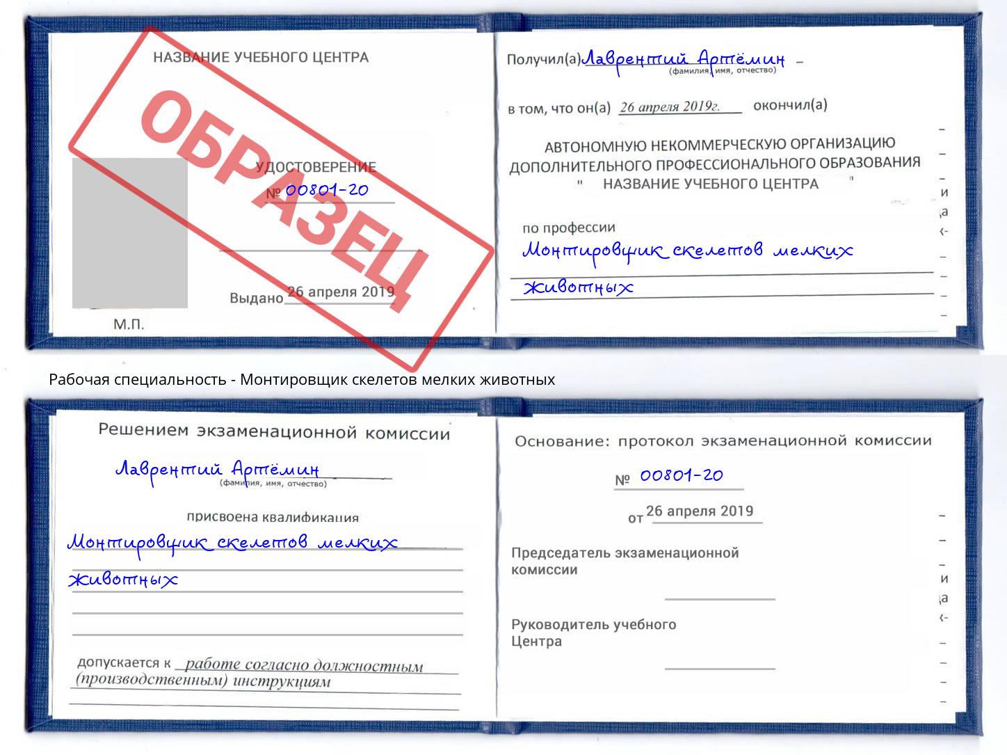 Монтировщик скелетов мелких животных Ливны