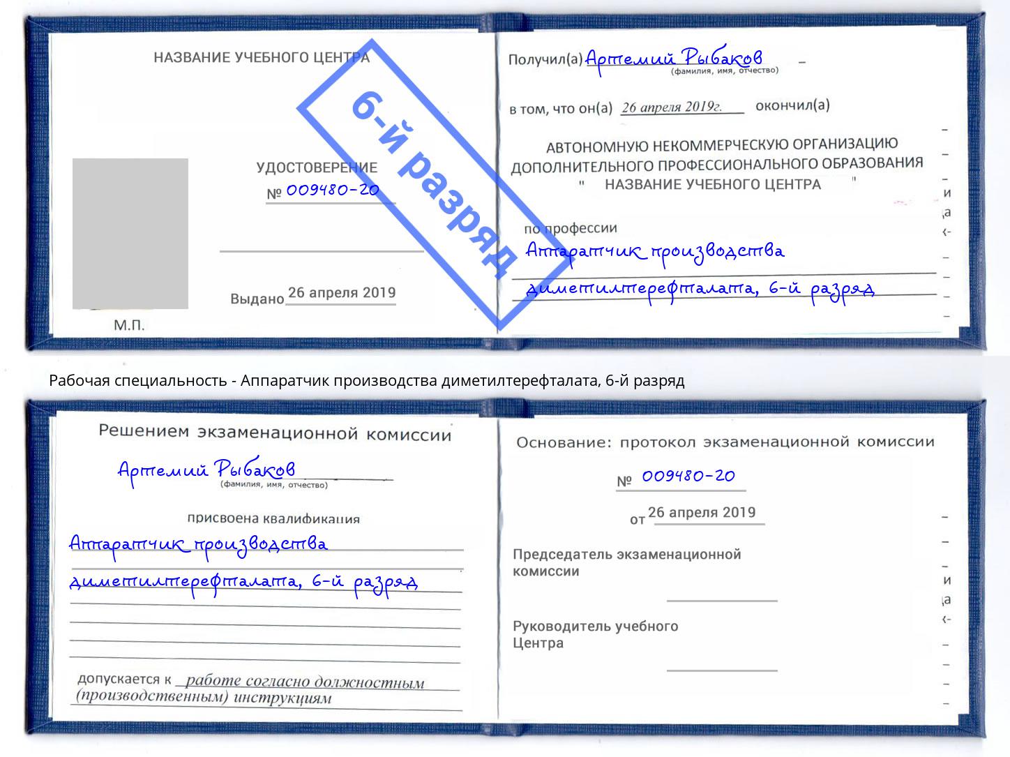 корочка 6-й разряд Аппаратчик производства диметилтерефталата Ливны