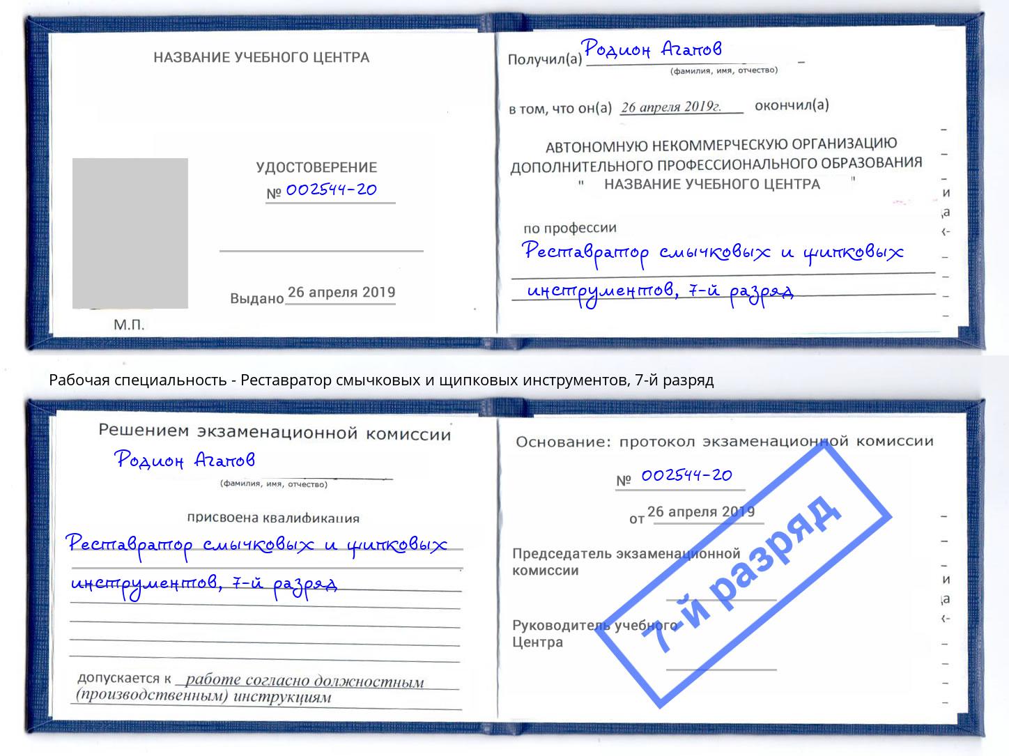 корочка 7-й разряд Реставратор смычковых и щипковых инструментов Ливны