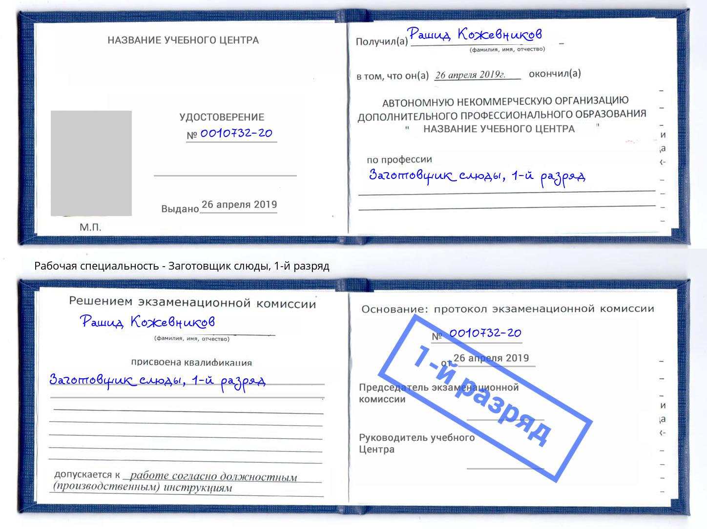корочка 1-й разряд Заготовщик слюды Ливны